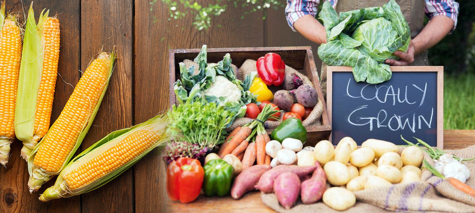 Locally Grown Food The Farmers Market